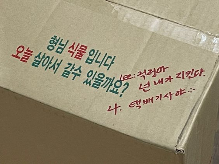 식물 기르기 경험자에 관련한 설문조사